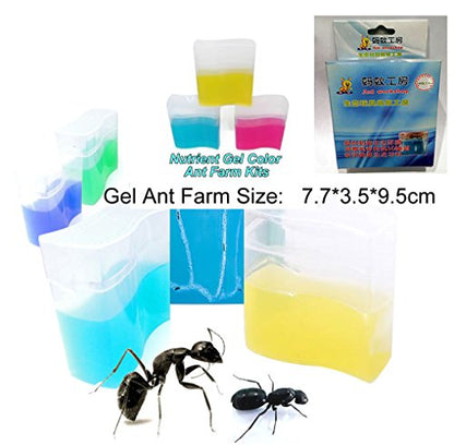 Yellow Gel Ant Farm (1) Reality Show 24/7 365