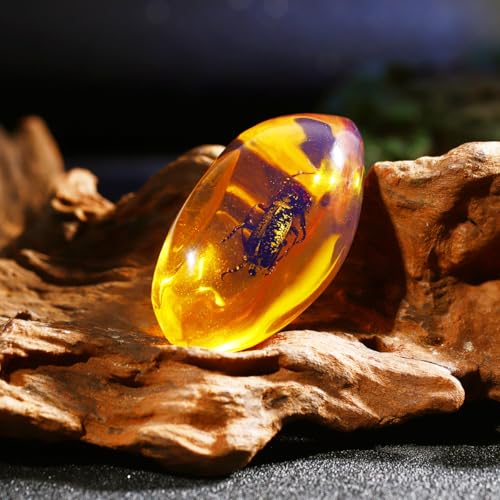 Amber Insect Specimens, 5 Pcs Unique Resin Stones with Real Bugs, Perfect for Jewelry Making, DIY Crafts, Home & Classroom Decor, Ideal Science Gifts for Kids & Adults
