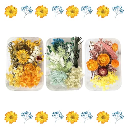 2PCS Dried Flowers Kit, Natural Dried Flowers Kit for DIY Crafts, Scrapbook, Card Making (Style18_24_27) - color: Style18_24_27