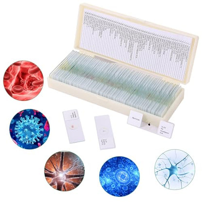 60 Pieces Prepared Microscope Slide Set with Specimens, Plant Animal Cell Science Education Microscope Slides for Bioscience Labs - size: 60pcs