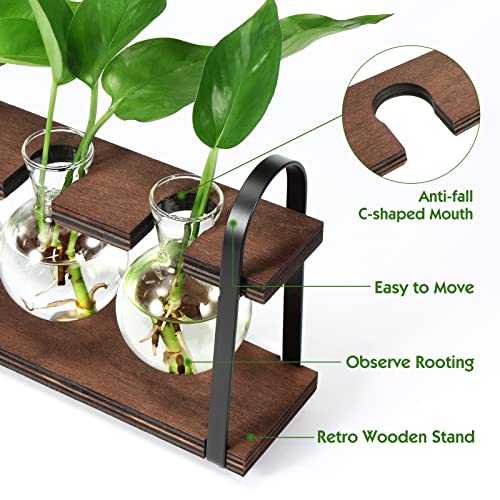 5-Bulb Plant Propagation Station, Glass Vase Terrarium, Wood Metal Stand - color: Dark Brown