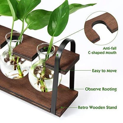5-Bulb Plant Propagation Station, Glass Vase Terrarium, Wood Metal Stand - color: Dark Brown