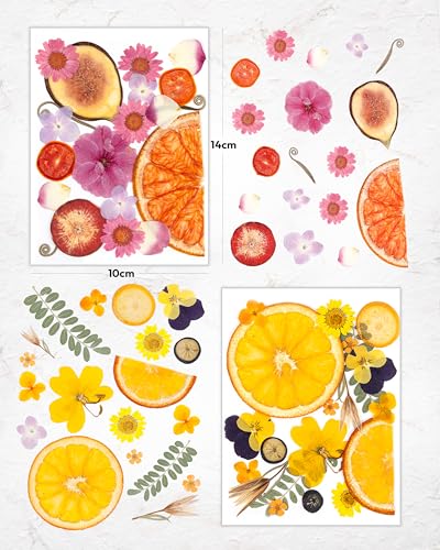 Resiners Dried Pressed Flowers for Resin Molds Scrapbook Supplies - color: Bright Fruit 80pcs