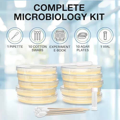 Evviva Sciences Microbiology Science Project Kit, Pre-Poured Agar Plates for Students, Agar Petri Dishes to Learn Microbiology, with Educational Experiment eBook - size: Medium (6 X 4 X 4in)