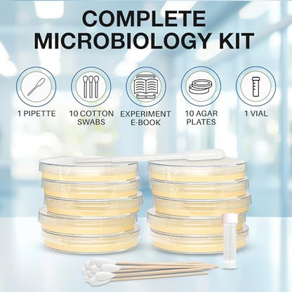 Evviva Sciences Microbiology Science Project Kit, Pre-Poured Agar Plates for Students, Agar Petri Dishes to Learn Microbiology, with Educational Experiment eBook - size: Medium (6 X 4 X 4in)