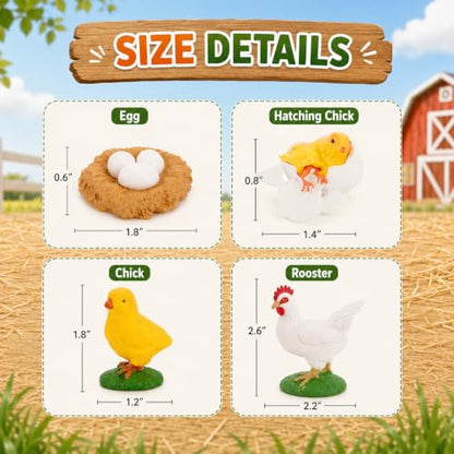 Montessori Life Cycle Animal Figures with Flash Cards, Lifelike Animal Growth Cycle Biological Model Set (Rooster) - style: Rooster