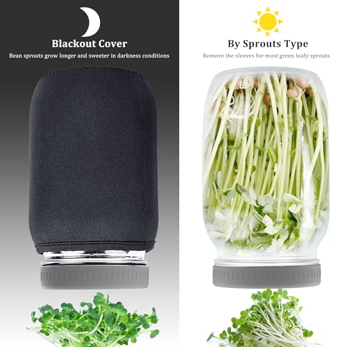Organic Seed Sprouting Jar Kit – 2 × 32 oz Wide-Mouth Mason Jars with Stainless-Steel Sprouter Lids & Stand, Blackout Sleeves, Drain Tray – Grow Broccoli, Alfalfa & Bean Microgreens - color: Gray