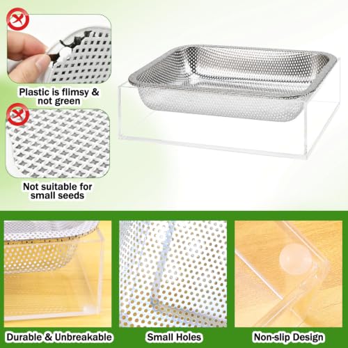 1 Pack Stainless Steel Seed Sprouter Tray Visual Soil-Free Cultivation Germination Tray with Acrylic Base Mesh Pads Seed Starter Tray Microgreens Growing Kit for Sprouts Beans Indoors Sprouting Seeds