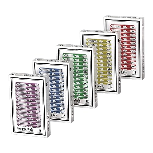 60pcs Plastic Prepared Microscope Slides - size: 60pcs