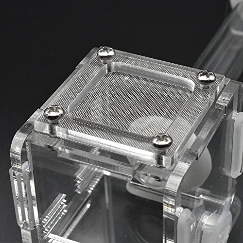 Acrylic Transparent Mini Ant Nest Glass Nest Tube Farm for Experiment