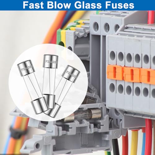 20PCS F2AL250V 5 x 20mm Fast Blow Glass Fuses 2A 2Amp 250V Glass Fuse,0.2 x 0.78 Inch - size: 2A