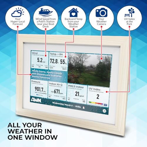 Ambient Weather Network Weather Window