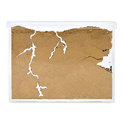 Sand Ant Farm L (Formicarium (Anthill, Formicarium, Educational, Ants)