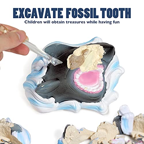 Shark Tooth Dig Kit, Shark Tooth Excavation Fossil, Shark Science Toy Gift for Kids Age 5+ for Holiday Birthday
