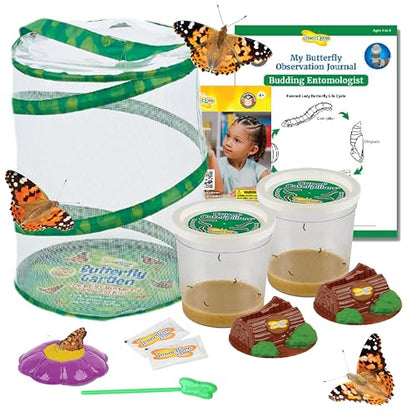 Insect Lore Butterfly Garden with 10 Live Baby Caterpillars - Habitat, Feeder, Chrys-A-Lid Holders, STEM Activity Journal - Raise and Release Painted Lady Butterflies