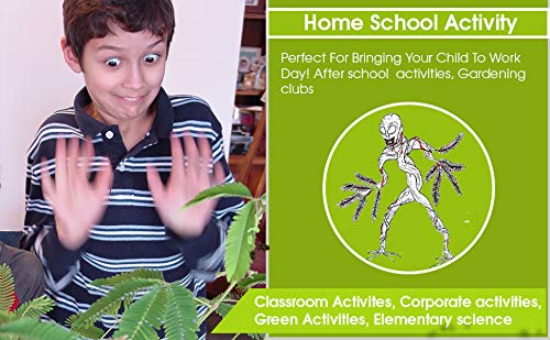 Zombie Plant Seeds with Free Book. The Zombie Plant Plays Dead When Touched. 20 Fun Science Activity Projects. Grow Your Own Zombie Plant Indoors - Includes 3 Seed Packets.