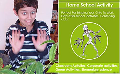 Zombie Plant Seeds with Free Book. The Zombie Plant Plays Dead When Touched. 20 Fun Science Activity Projects. Grow Your Own Zombie Plant Indoors - Includes 3 Seed Packets.