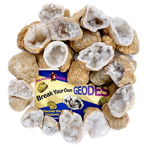 DANCING BEAR 25 Break Your Own Geodes, 90% Hollow, (Large 1.75-2.5") Crack Open & Discover Amazing Surprise Crystals Inside! Educational Info and Instructions Included, Fun Party Favors & Prizes - style: Large (1.75-2.5")