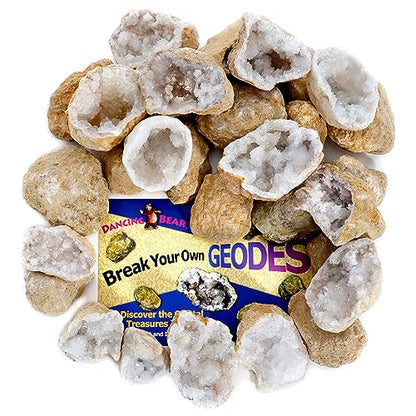 DANCING BEAR 25 Break Your Own Geodes, 90% Hollow, (Large 1.75-2.5") Crack Open & Discover Amazing Surprise Crystals Inside! Educational Info and Instructions Included, Fun Party Favors & Prizes - style: Large (1.75-2.5")