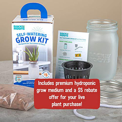 Back to the Roots Self Watering Grow Kit - Glass Hydroponic Planters for Succulents and Cacti Self-Watering System - size: 1 Count (Pack of 1), style: Self-Watering Succulent Kit