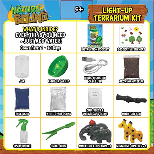 Nature Bound Light-Up Terrarium Kit with LED Light for Kids - Includes Puppy Animal Theme - STEM Science Kit for Boys & Girls - Plant Gardening Gifts for Children (Green)