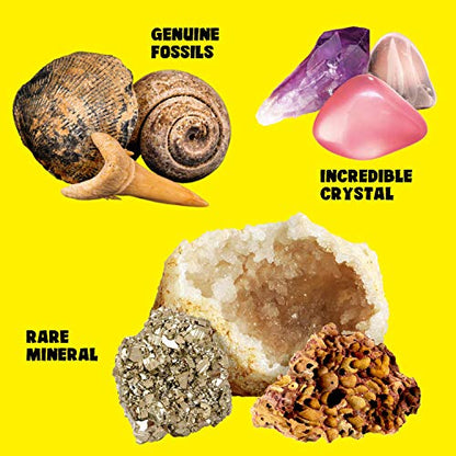 Rocks Minerals Fossils Science Kit-250+ Real Gems, Display Case, Kids Gift - style: 250 Pieces+