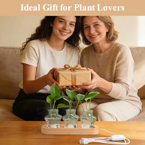 XXXFLOWER Plant Propagation Station with LED Light Wooden Base 3 Star Vases - color: LED Light