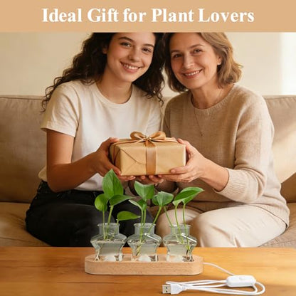 XXXFLOWER Plant Propagation Station with LED Light Wooden Base 3 Star Vases - color: LED Light