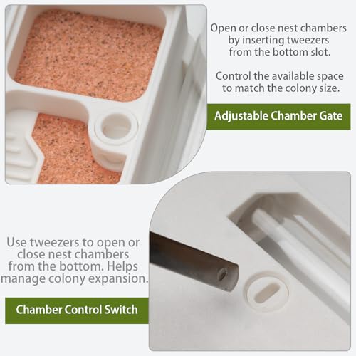 StackCore Stackable Series - White Hybrid (Tube-and-Flat Ant Nest) with Starter Tool Kit - size: White Hybrid