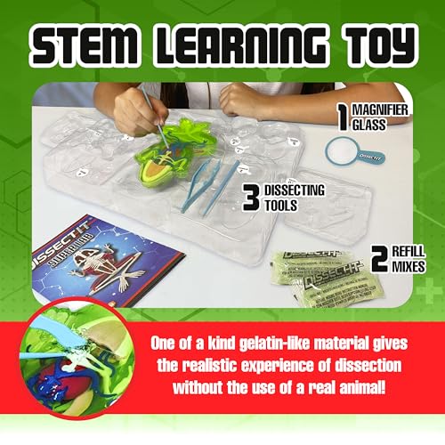 Dissect-It, Premium Frog Dissection Kit, STEM Toys for Kids, Ages 6+