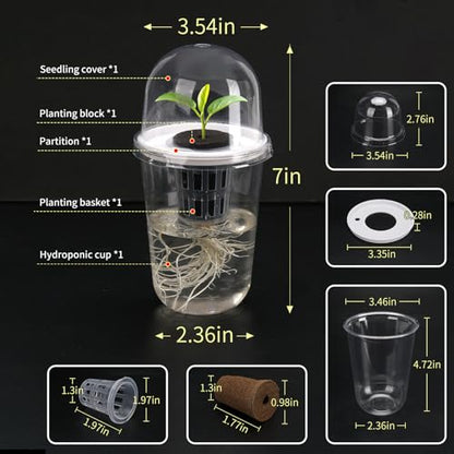 Clear Hydroponic Nursery Pots with Humidity Domes & Rrow Sponge 6-Pack