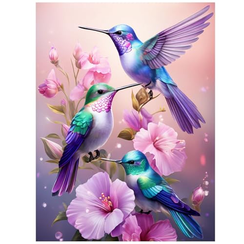 Hummingbird Diamond Art Kits for Adults, Diamond Painting Kits 12x16 Inch - color: Style 43