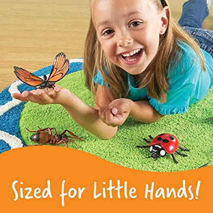 Learning Resources Jumbo Insects