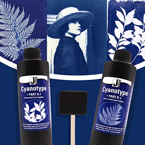 Jacquard Cyanotype Kit Sun Printing for Paper & Fabric Bundled Sponge Brush