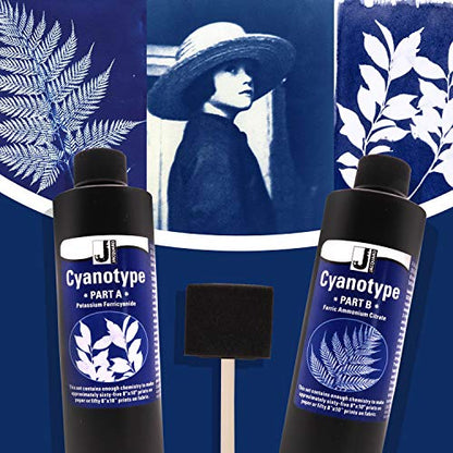 Jacquard Cyanotype Kit Sun Printing for Paper & Fabric Bundled Sponge Brush