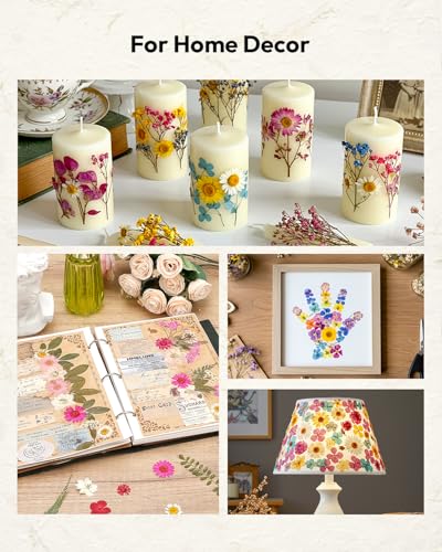 Dried Flowers, Resiners 100Pcs Pressed Flowers for Craft - color: Blossom 100pcs