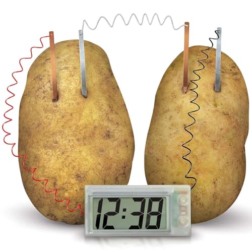 4M: Green Science: Potato Clock - DIY & Experience Battery-Free Renewable Energy, Power A Digital Clock, STEM Learning Craft Activity Kit, Kids Age 5+
