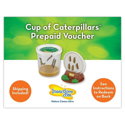 Insect Lore Butterfly Farm with Pre-Paid Voucher to Redeem Caterpillars - Ultra-Clear Dome Habitat, STEM Journal, Chrys-A-Lid Holder - Give the Gift of Raising Painted Lady Butterflies