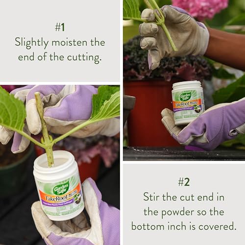 Garden Safe Take Root Rooting Hormone 2 Oz, Promotes Rooting, 3 Pack - size: 3 Pack