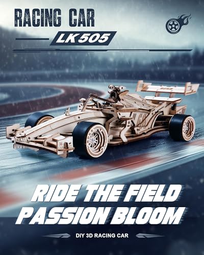 ROKR 3D Wooden Puzzle for Adults, F1 Racing Model Cars Kits Wind Up Toys
