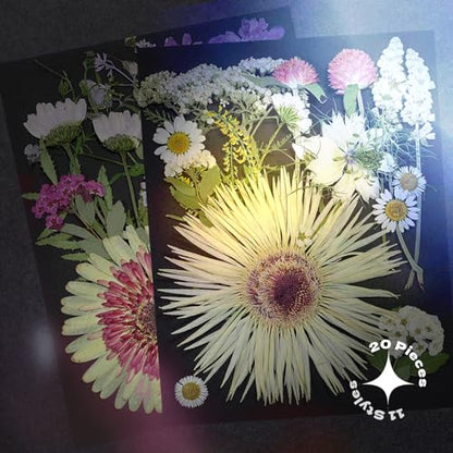 White Dried Pressed Flowers, 40Pcs Real Nature Flowers Set with Tweezers - size: 40 pcs White+Mixed Dried Flowers