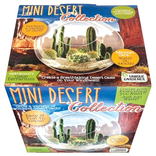 Cactus Succulent Glass Terrarium Starter Kit from Unique Gardener - Grow Your Own Indoor Desert Terrariums - Includes Live Cacti Plants and Easy Setup with Complete Terrarium Supplies - style: Mini Desert