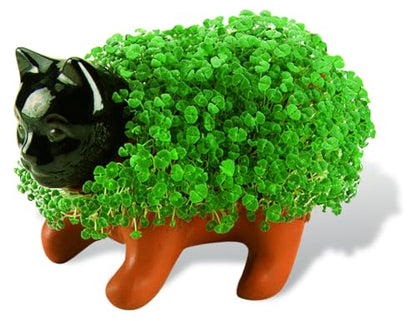 Chia Pet Kitten with Seed Pack, Decorative Pottery Planter, Easy to Do and Fun to Grow, Novelty Gift, Perfect for Any Occasion - style: Kitten