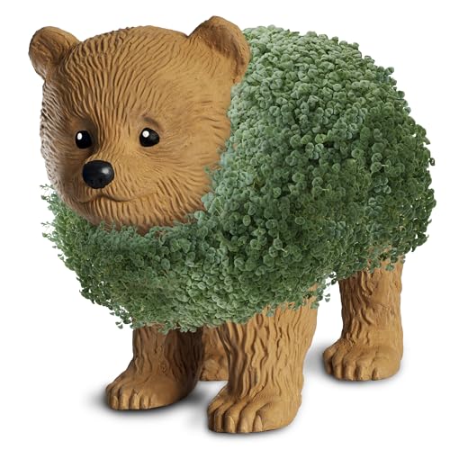 Chia Pet Bear Cub with Seed Pack, Decorative Pottery Planter, Easy to Do and Fun to Grow, Novelty Gift, Perfect for Any Occasion - style: Bear Cub