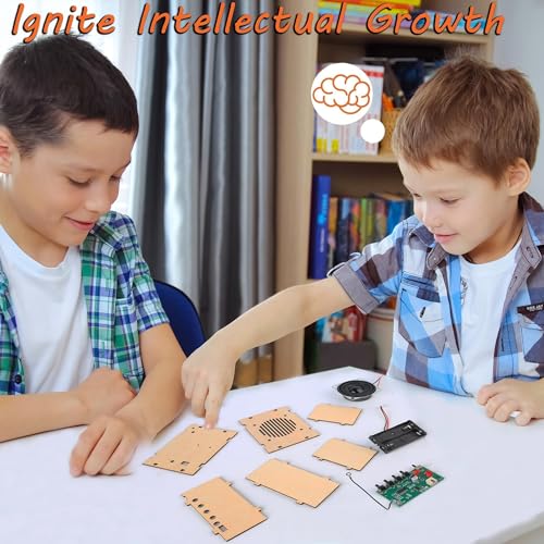STEM Toys DIY FM Radio Kit, Science Circuit Project, Boy Gift Toys Age 8-13 - color: Classic Wood