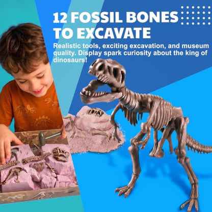 4M Tyrannosaurus Rex Skeleton Kit for Kids Ages 8-12 – T-Rex Fossil Excavation Set with 12 Realistic Bones, STEM Paleontologist Digging Kit with Hammer, Chisel & Brush, Educational Gift