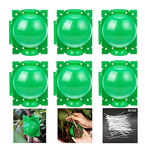 Air layering pods, Reusable Plant Rooting Device Plant Rooting Grow Box High Pressure Propagation Ball Grafting Device Botany Root Controller Garden Plant Rooter Box (Medium(3.1″×6PCS),Green) - color: Green, size: Medium（3.1″×6PCS）