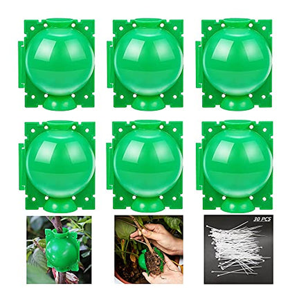 Air layering pods, Reusable Plant Rooting Device Plant Rooting Grow Box High Pressure Propagation Ball Grafting Device Botany Root Controller Garden Plant Rooter Box (Medium(3.1″×6PCS),Green) - color: Green, size: Medium（3.1″×6PCS）