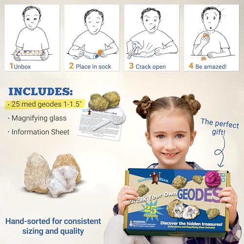 DANCING BEAR 25 Break Your Own Geodes, (Medium 1-1.5") 90% Hollow, Crack Open & Discover Amazing Surprise Crystals Inside! Educational Info and Instructions Included, Fun Party Favors & Prizes - style: Medium (1-1.5")
