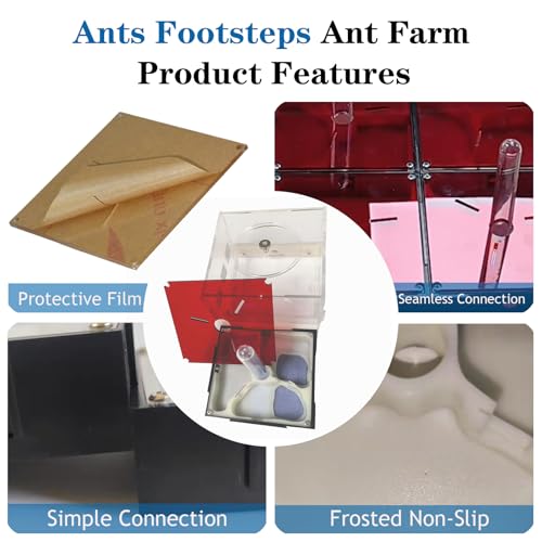 Ant Farm Nest Science DIY Terrarium Kit Care for Live Ants Ant Habitat with Water Tower Nurturing Room and Comprehensive Observation-Set 1 - size: 1